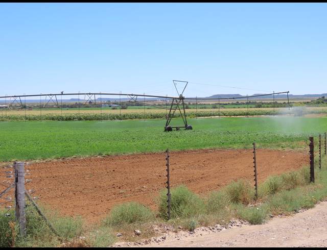 213HA FARM FOR SALE IN HOPETOWN RURAL